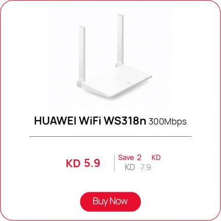 Big Router WS 318N