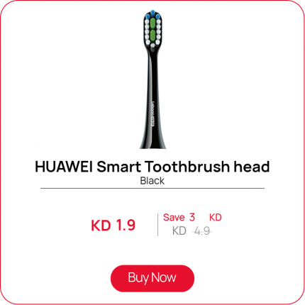 Lebooo Smart Toothbrush